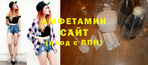 мдпв Рославль