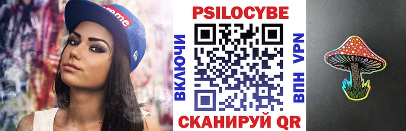 Галлюциногенные грибы Psilocybine cubensis  Купить где  Данилов 