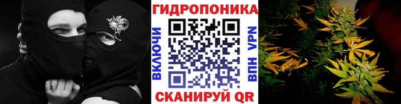 Бошки марихуана Ganja  Купить где  Данилов 